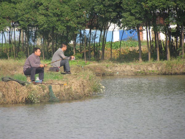 天瑞體育節